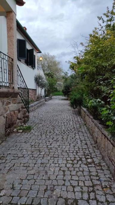 Villa Quinta Da Barbosa Folgosinho Exterior foto